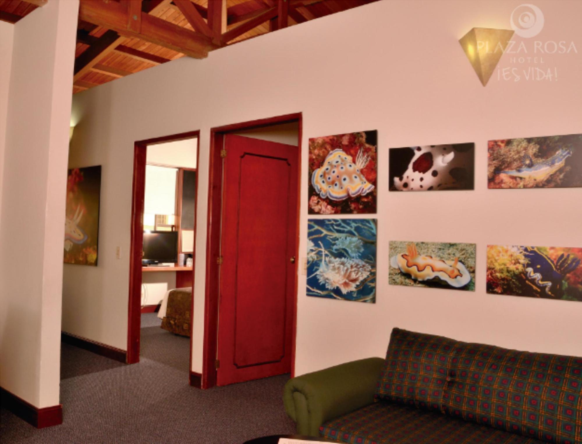 Hotel Plaza Rosa Medellín Esterno foto